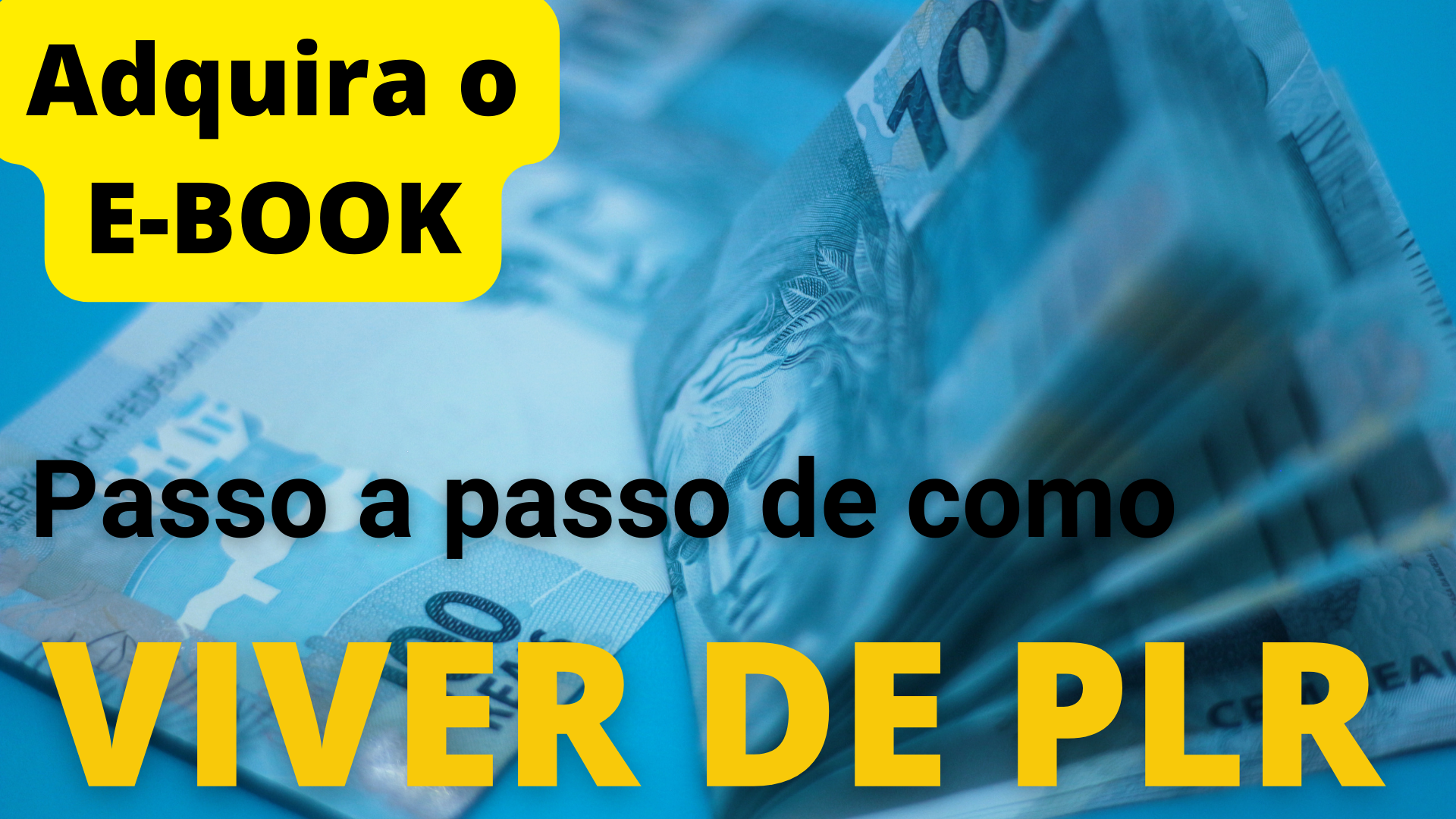 VIVER DE PLR (2)